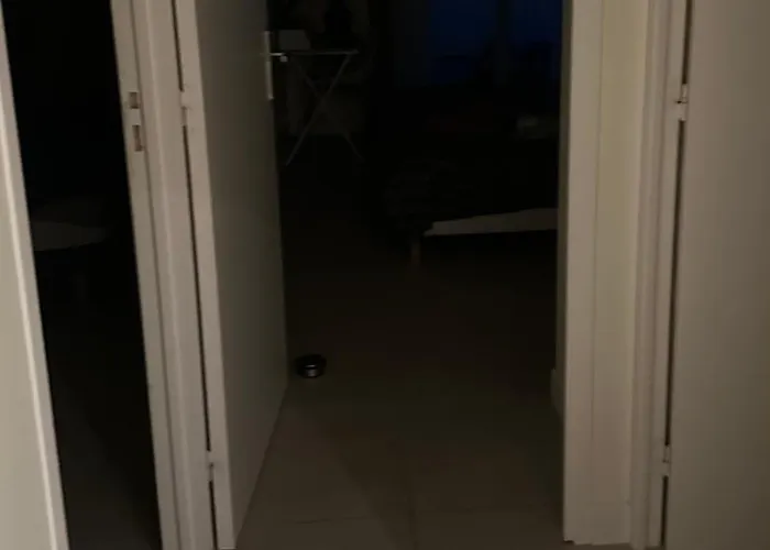 Horizon Perle 세스타스